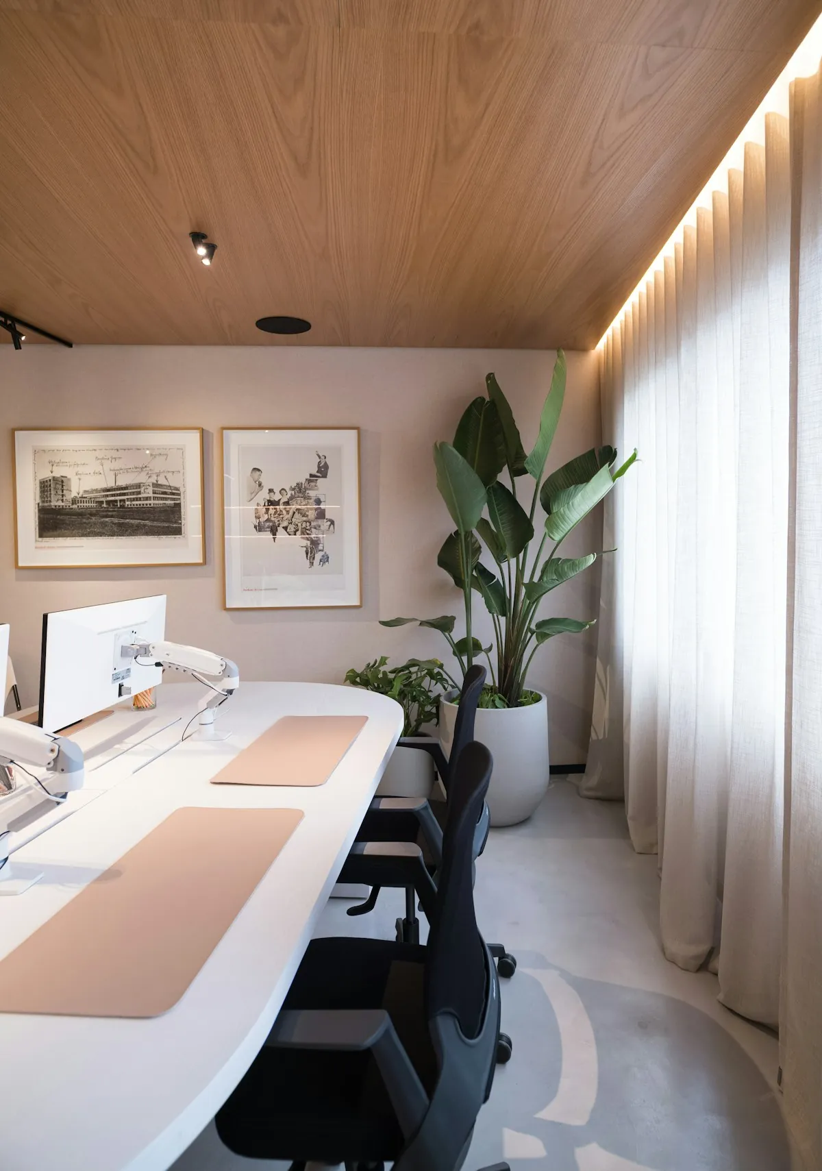 Modern office workspace with timber ceiling and desks